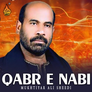 Qabr E Nabi