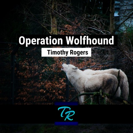 Operation Wolfhound | Boomplay Music