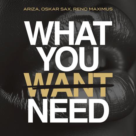 What You Need (Extended Mix) ft. Oskar Sax & Reno Maximus | Boomplay Music