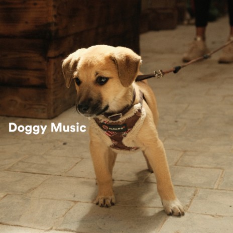 Quantum ft. Sleepy Dogs & Dog Music Club | Boomplay Music