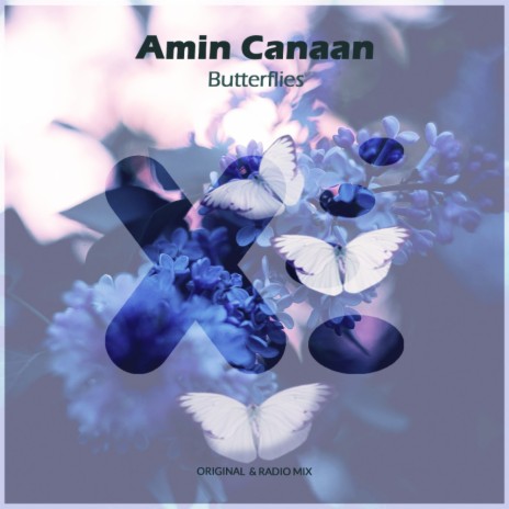 Butterflies (Radio Mix) | Boomplay Music