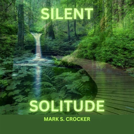 Silent Solitude | Boomplay Music