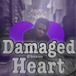 Damaged Heart