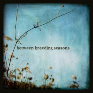 Between Breeding Seasons