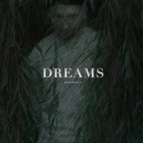 Dream | Boomplay Music