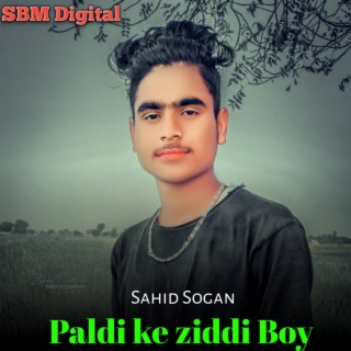 Paldi Ke Ziddi Boy