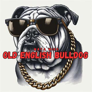 Old English Bulldog