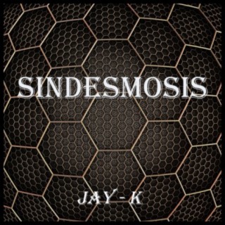 Sindesmosis