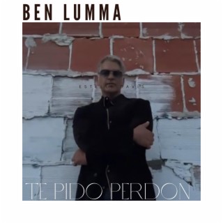 Te Pido Perdon lyrics | Boomplay Music
