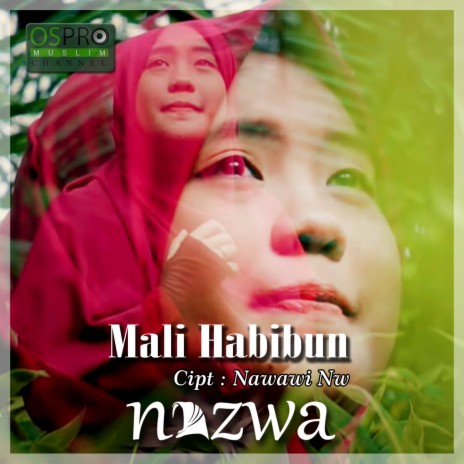 Mali Habibun | Boomplay Music