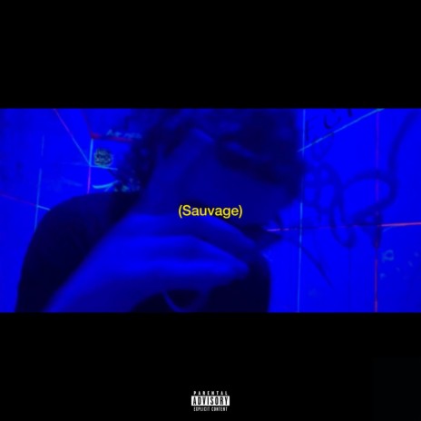 Sauvage | Boomplay Music