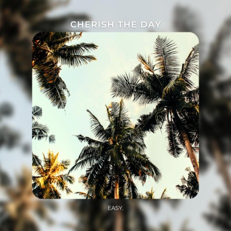 Cherish The Day | Boomplay Music