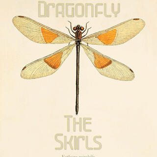 Hey Dragonfly