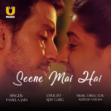 Seene Mai Hai | Boomplay Music