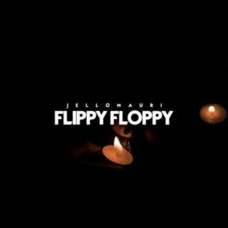 Flippy Floppy