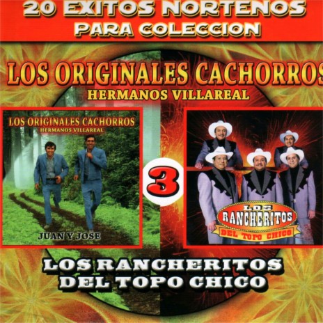 Corazon, Corazon, Corazoncito ft. Los Rancheritos Del Topo Chico