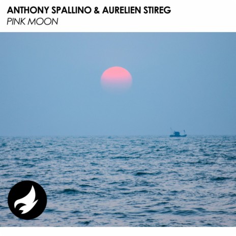 Pink Moon (Original Mix) ft. Aurelien Stireg