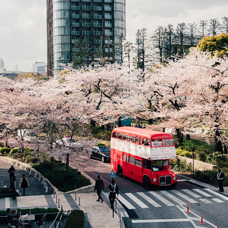 Blooming | Boomplay Music