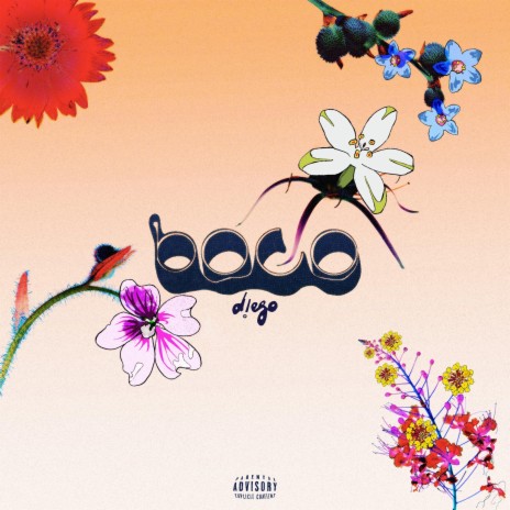 BOCO | Boomplay Music