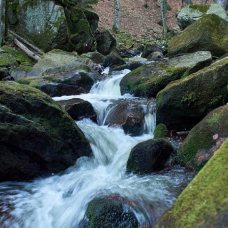 The Spirit of Lobnica (mountain stream for soothing babies and meditation) | Boomplay Music