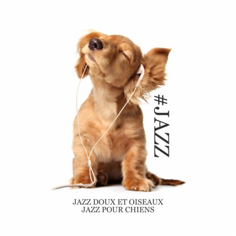 Le piano le plus relaxant pour les chiens | Boomplay Music