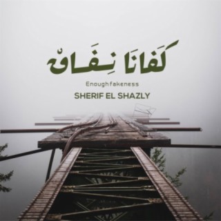 Sherif El-Shazly