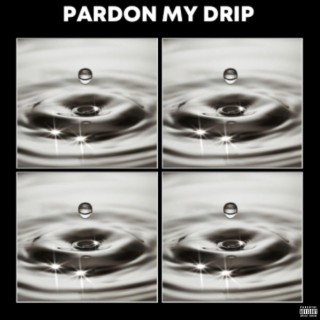 Pardon My Drip lyrics | Boomplay Music
