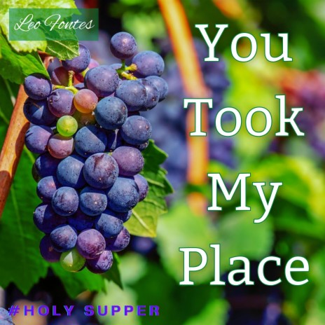 You Took My Place (Llevaste Mi Lugar) | Boomplay Music