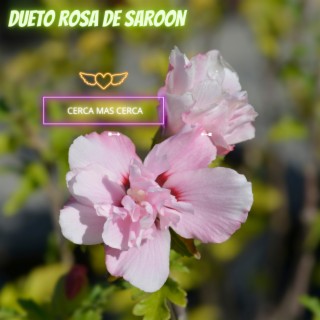 Dueto Rosa de Saroon