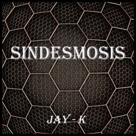 Sindesmosis | Boomplay Music