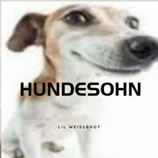 Hundesohn lyrics | Boomplay Music