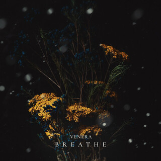 Breathe