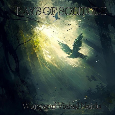 Rays Of Solitude ft. Warg | Boomplay Music