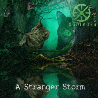 A Stranger Storm lyrics | Boomplay Music