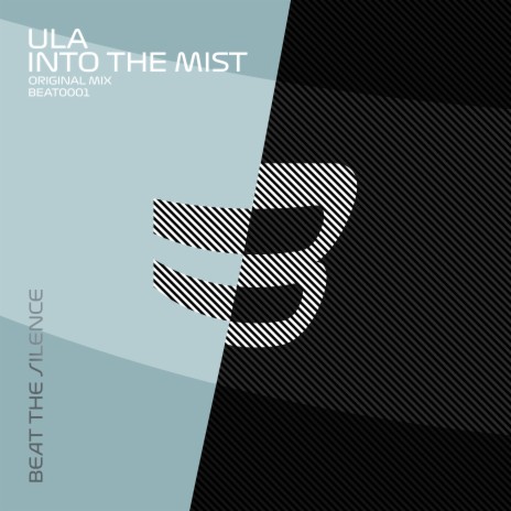 Into The Mist (Original Mix) | Boomplay Music