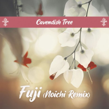 Fuji (Noichi Remix) | Boomplay Music