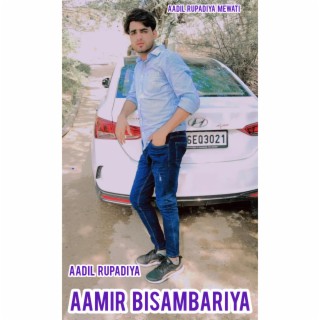 Aamir Bisambariya