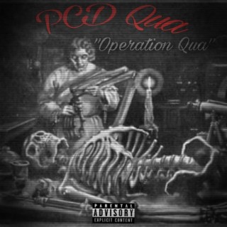 Operation Qua