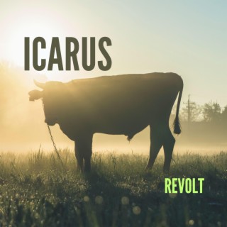 Icarus