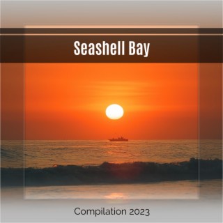 Seashell Bay