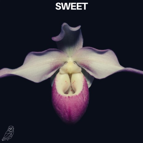 Sweet ft. Ædya | Boomplay Music