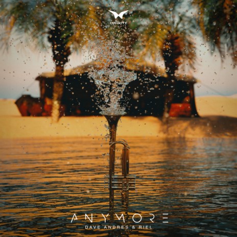 Anymore (Radio Edit) ft. Riel | Boomplay Music