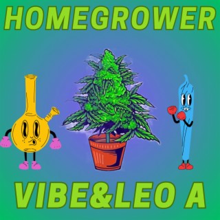 Homegrower ft. Leo A lyrics | Boomplay Music