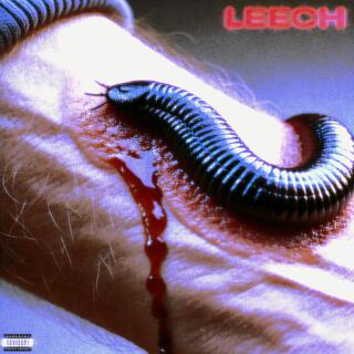 LEECH