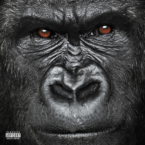 Tous primate ft. DRC | Boomplay Music