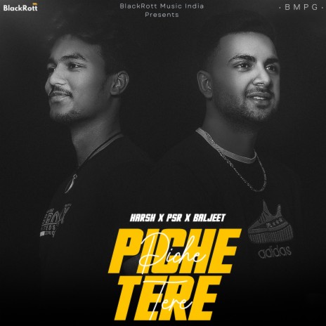 Piche Tere (Acapella) ft. PSR & Baljeet | Boomplay Music