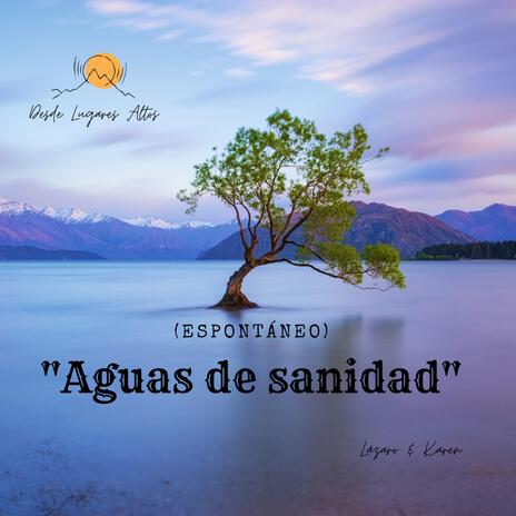 Aguas de sanidad (sesión 2) | Boomplay Music