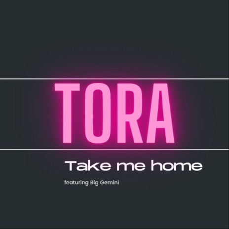 Take Me Home (feat. Big Gemini) | Boomplay Music