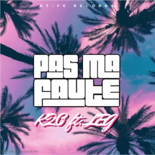 Pas Ma Faute ft. LEG lyrics | Boomplay Music