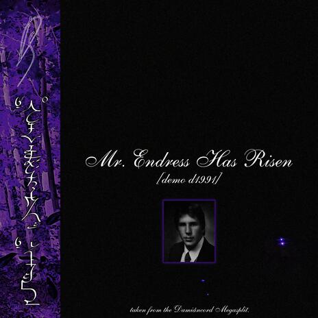 Mr. Endress Has Risen (demo D1991) | Boomplay Music